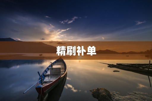 精刷补单