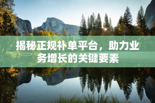 揭秘正规补单平台，助力业务增长的关键要素