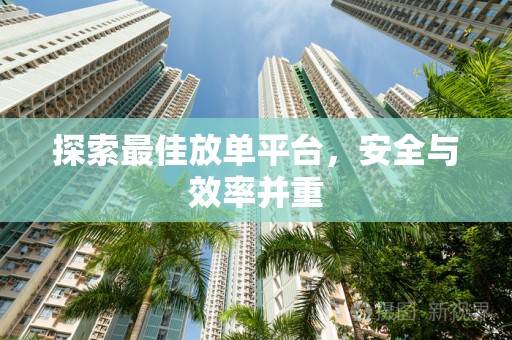探索最佳放单平台，安全与效率并重