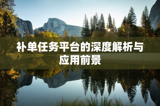 补单任务平台的深度解析与应用前景