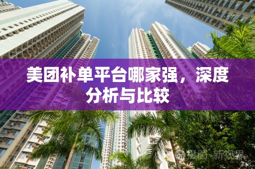 美团补单平台哪家强，深度分析与比较