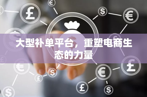 大型补单平台，重塑电商生态的力量