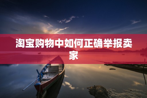 淘宝购物中如何正确举报卖家