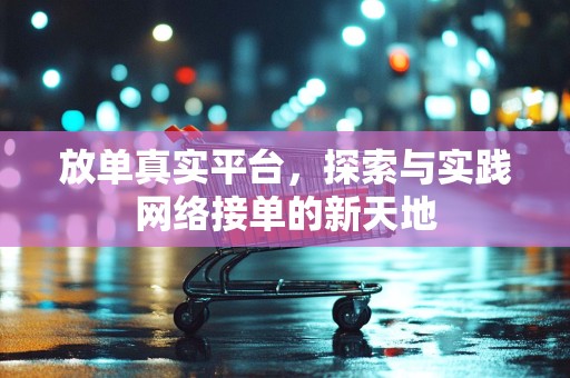 放单真实平台，探索与实践网络接单的新天地