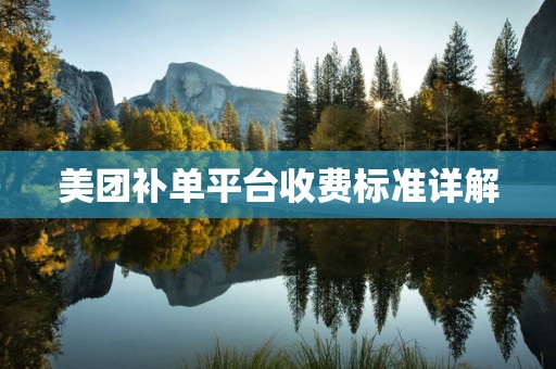 美团补单平台收费标准详解