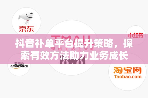 抖音补单平台提升策略，探索有效方法助力业务成长