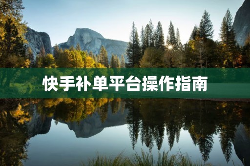 快手补单平台操作指南