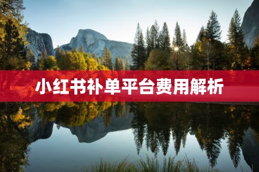 小红书补单平台费用解析