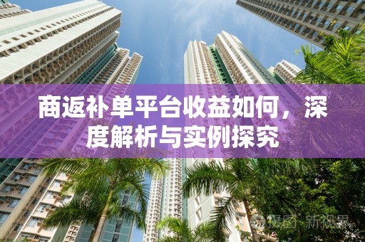商返补单平台收益如何，深度解析与实例探究