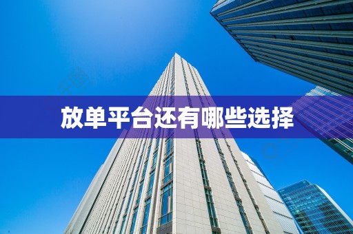 放单平台还有哪些选择