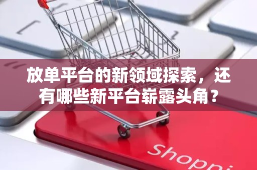 放单平台的新领域探索，还有哪些新平台崭露头角？