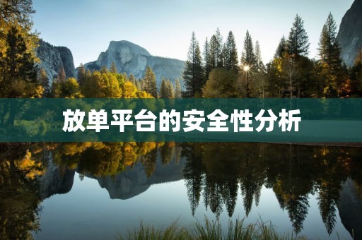 放单平台的安全性分析
