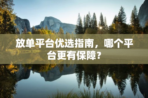放单平台优选指南，哪个平台更有保障？