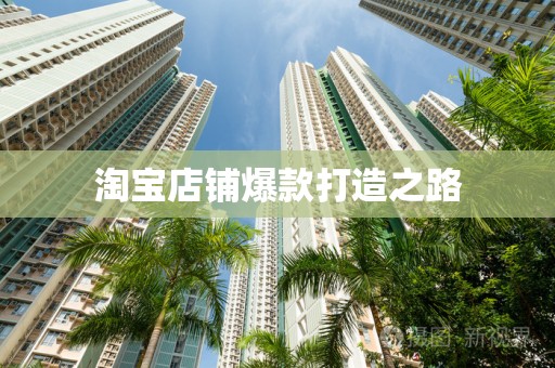 淘宝店铺爆款打造之路