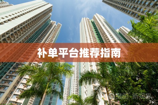 补单平台推荐指南