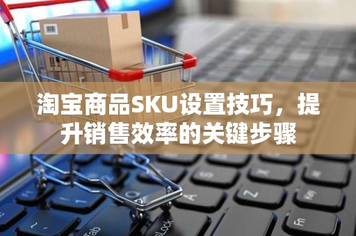 淘宝商品SKU设置技巧，提升销售效率的关键步骤
