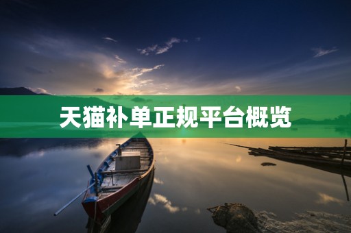 天猫补单正规平台概览