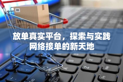 放单真实平台，探索与实践网络接单的新天地