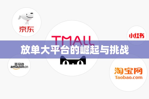 放单大平台的崛起与挑战
