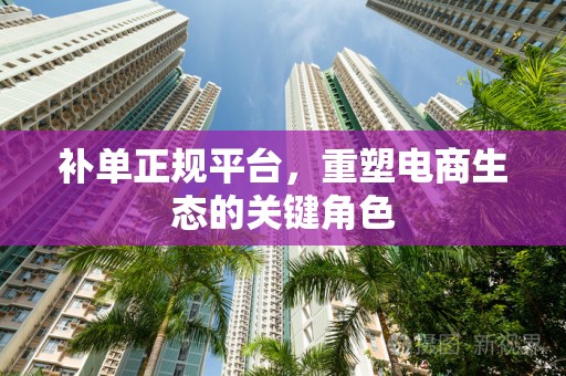 补单正规平台，重塑电商生态的关键角色