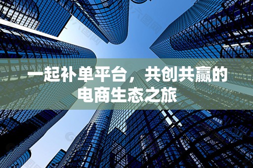 一起补单平台，共创共赢的电商生态之旅