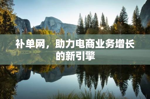 补单网，助力电商业务增长的新引擎
