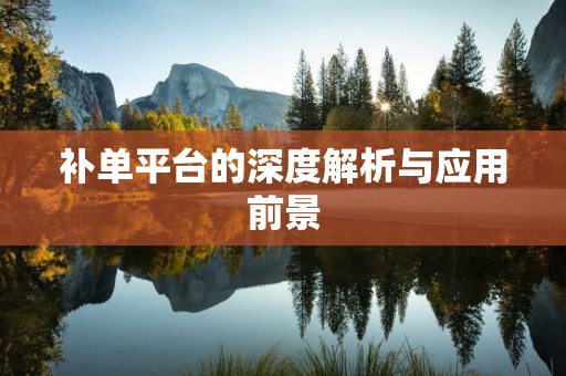 补单平台的深度解析与应用前景