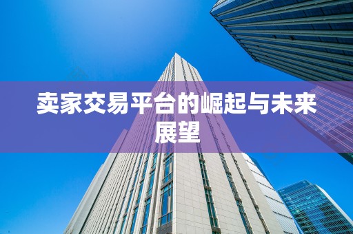 卖家交易平台的崛起与未来展望
