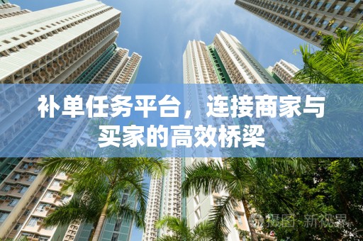 补单任务平台，连接商家与买家的高效桥梁