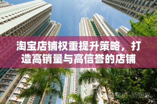 淘宝店铺权重提升策略，打造高销量与高信誉的店铺