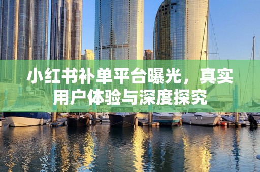 小红书补单平台曝光，真实用户体验与深度探究