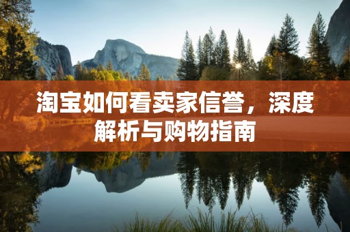 淘宝如何看卖家信誉，深度解析与购物指南
