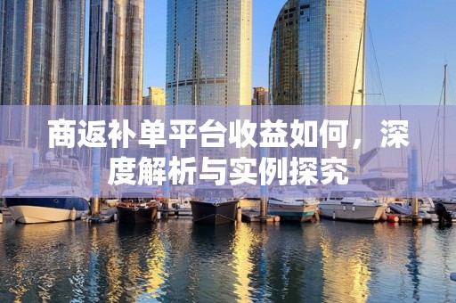 商返补单平台收益如何，深度解析与实例探究