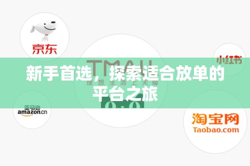 新手首选，探索适合放单的平台之旅