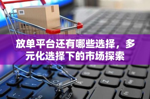 放单平台还有哪些选择，多元化选择下的市场探索