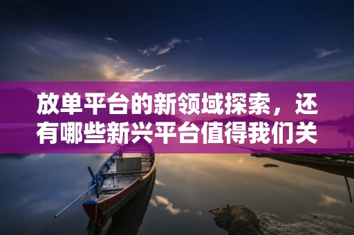 放单平台的新领域探索，还有哪些新兴平台值得我们关注