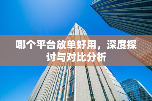 哪个平台放单好用，深度探讨与对比分析