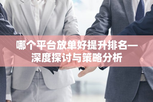 哪个平台放单好提升排名—深度探讨与策略分析