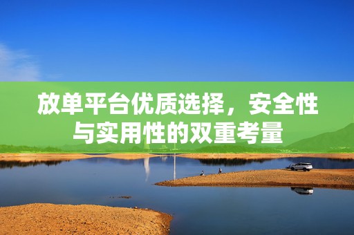 放单平台优质选择，安全性与实用性的双重考量
