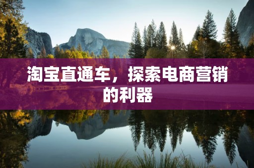 淘宝直通车，探索电商营销的利器