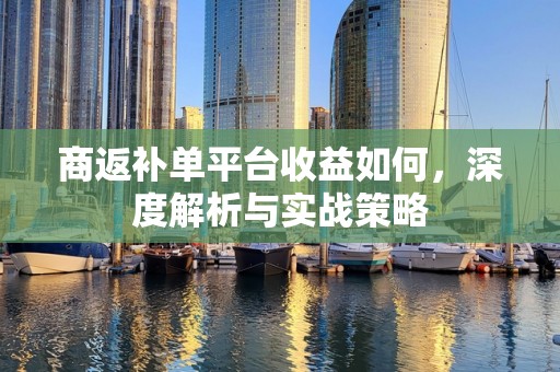商返补单平台收益如何，深度解析与实战策略