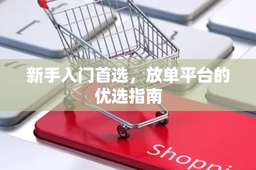新手入门首选，放单平台的优选指南