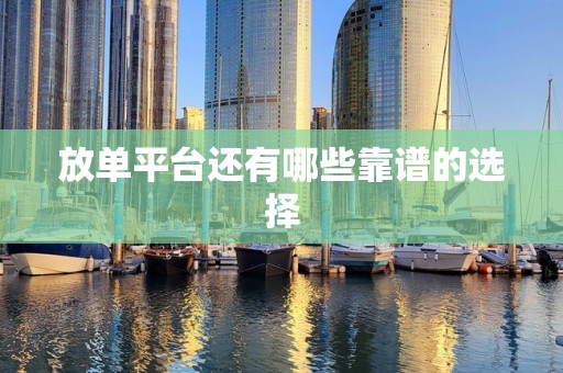 放单平台还有哪些靠谱的选择