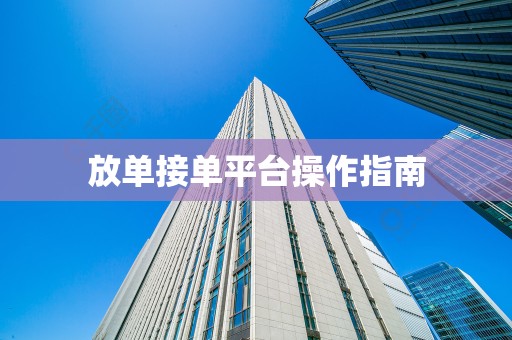 放单接单平台操作指南