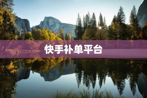快手补单平台