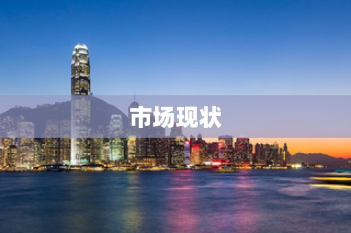 市场现状