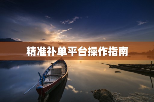 精准补单平台操作指南