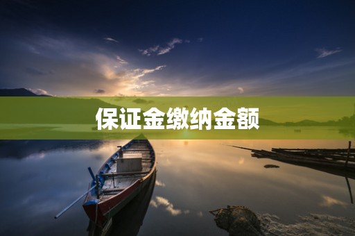 保证金缴纳金额