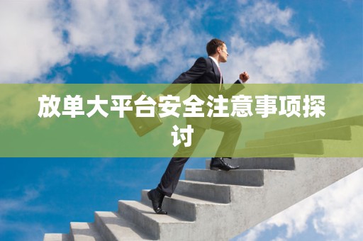 放单大平台安全注意事项探讨