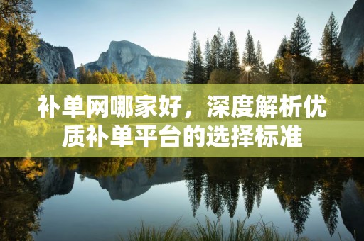补单网哪家好，深度解析优质补单平台的选择标准